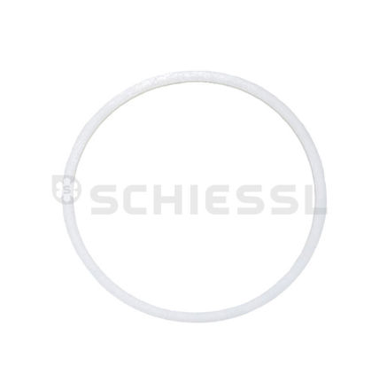 Εικόνα για Gasket ring 37220004