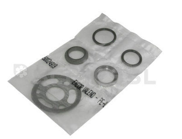 Εικόνα για Shaft seal Type V (Y)  37401804