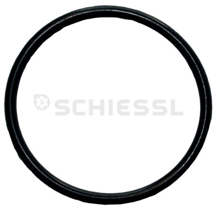 Εικόνα για O-ring 37200112