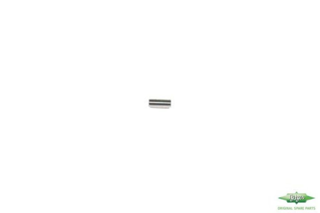 Εικόνα για Needle roller 38630101